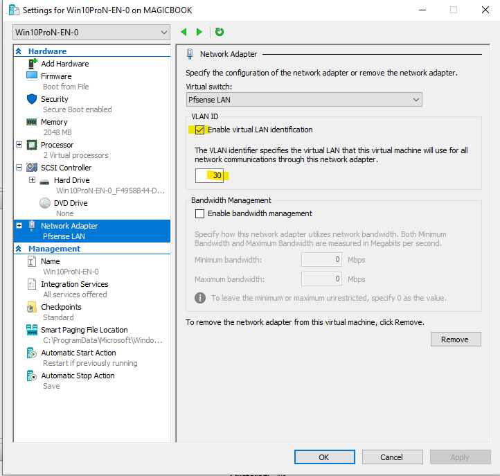 Client VM network adapter VLAN settings