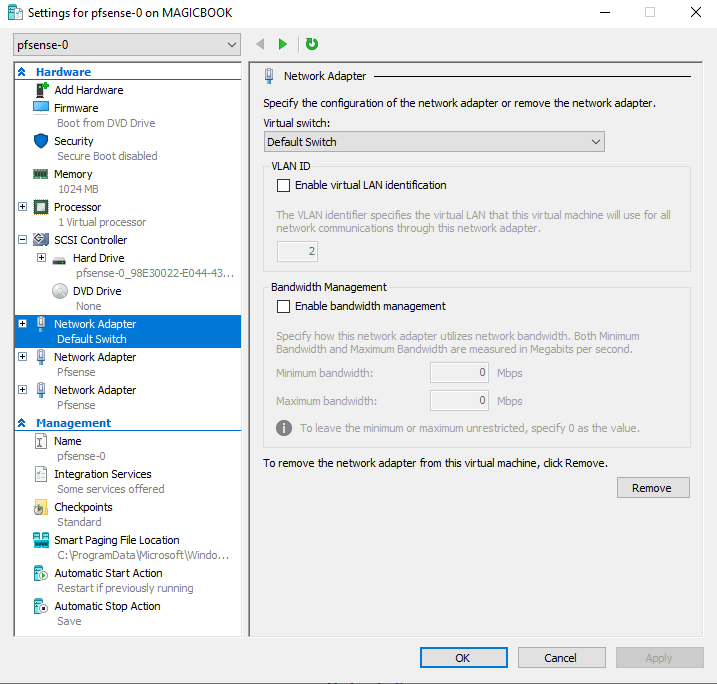 Pfsense VM network adapters