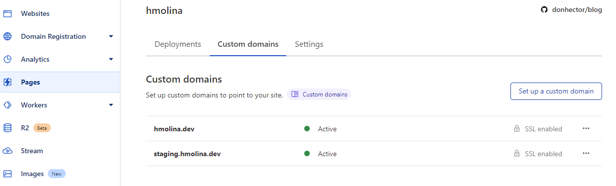 Pages Custom Domains